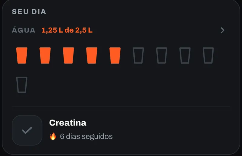 Cartão "Seu dia" do app: água 1,25 L de 2,5 L marcada em copos e creatina com 6 dias seguidos